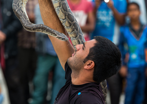 snake charmer puting the head in his mouth, Hormozgan, Minab, Iran