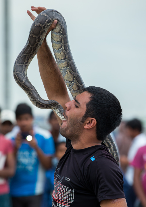 snake charmer puting the head in his mouth, Hormozgan, Minab, Iran