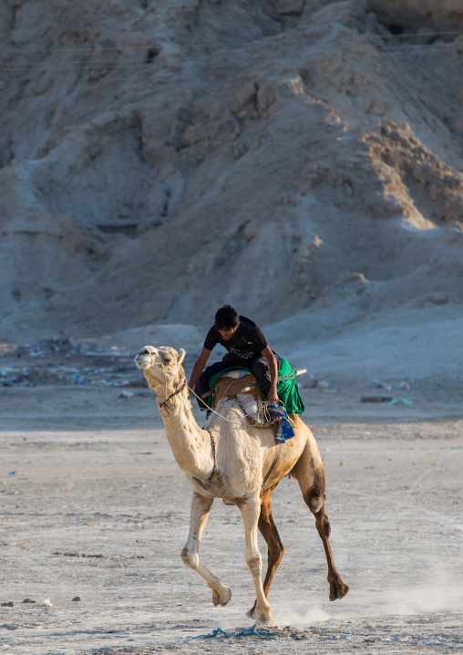 a man racing a camel during a traditional wedding, Qeshm Island, Salakh, Iran