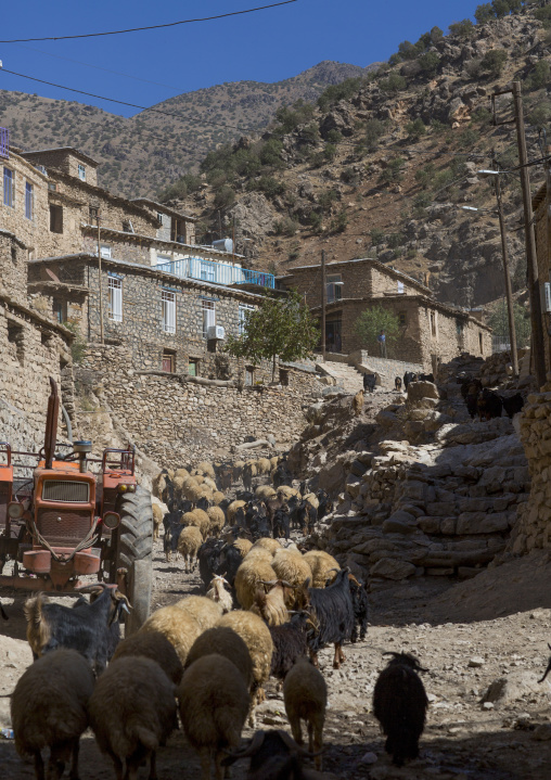 Old Kurdish Village Of Palangan, Iran