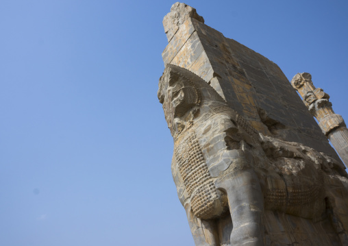 Ancient horse statue, Fars province, Persepolis, Iran