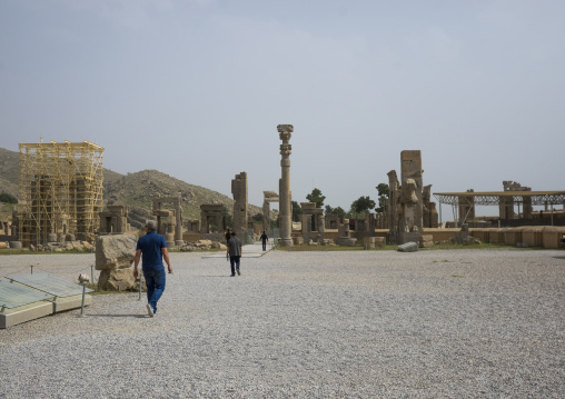 Ruins of apadana palace built by darius the great, Fars province, Persepolis, Iran