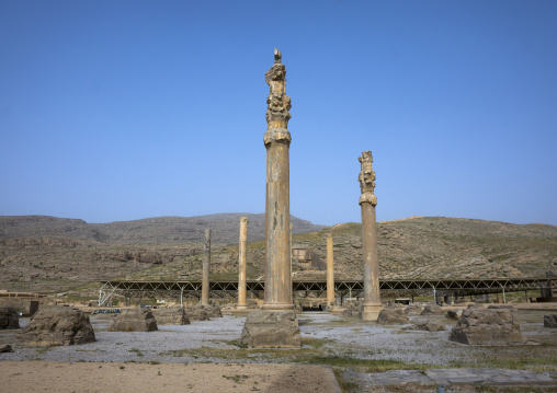 Ruins of apadana palace built by darius the great, Fars province, Persepolis, Iran