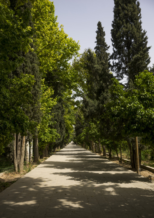 Eram garden, Fars province, Shiraz, Iran