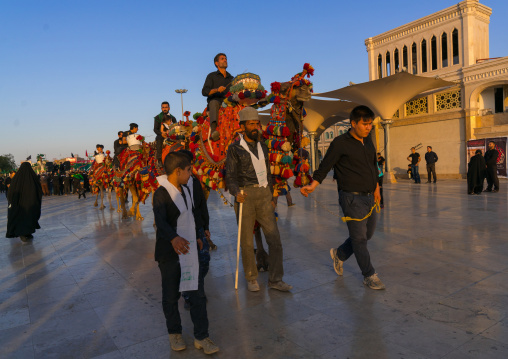 Procession with camels during Muharram celebrations in Fatima al-Masumeh shrine, Central County, Qom, Iran