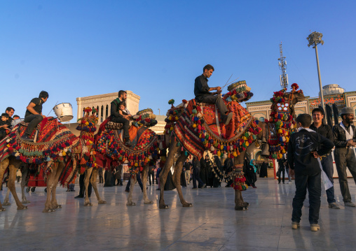 Procession with camels during Muharram celebrations in Fatima al-Masumeh shrine, Central County, Qom, Iran