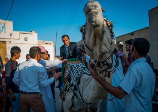 groom riding a camel during his wedding ceremony, Qeshm Island, Salakh, Iran