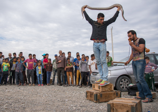 man showing a snake to the spectators, Hormozgan, Minab, Iran