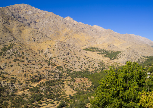 Howraman Mountains, Iran