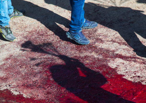 Shadows In Blood Of Iranian Shiite Men Who Are Beating Themselves With Iron Chains To Commemorate Ashura, Kurdistan Province, Bijar, Iran