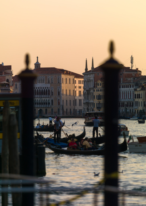 Gondolas on the grand canal, Veneto Region, Venice, Italy