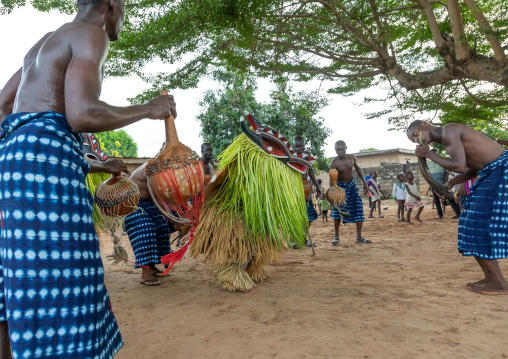 Goli sacred masks couple in Baule tribe during a ceremony, Région des Lacs, Bomizanbo, Ivory Coast