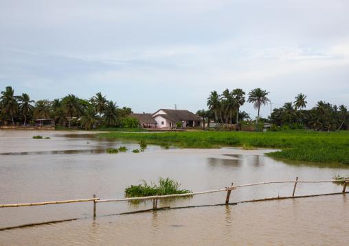 Ouladine lagoon landscape, Sud-Comoé, Grand-Bassam, Ivory Coast