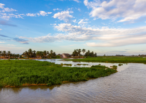 Ouladine lagoon landscape, Sud-Comoé, Grand-Bassam, Ivory Coast