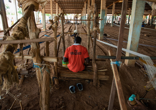 African man from Senufo tribe weaving in a traditional textile factory, Savanes district, Waraniene, Ivory Coast