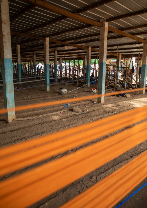 African men from Senufo tribe weaving in a traditional textile factory, Savanes district, Waraniene, Ivory Coast