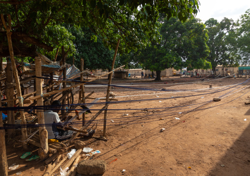 African men weaving in a traditional textile factory, Savanes district, Waraniene, Ivory Coast