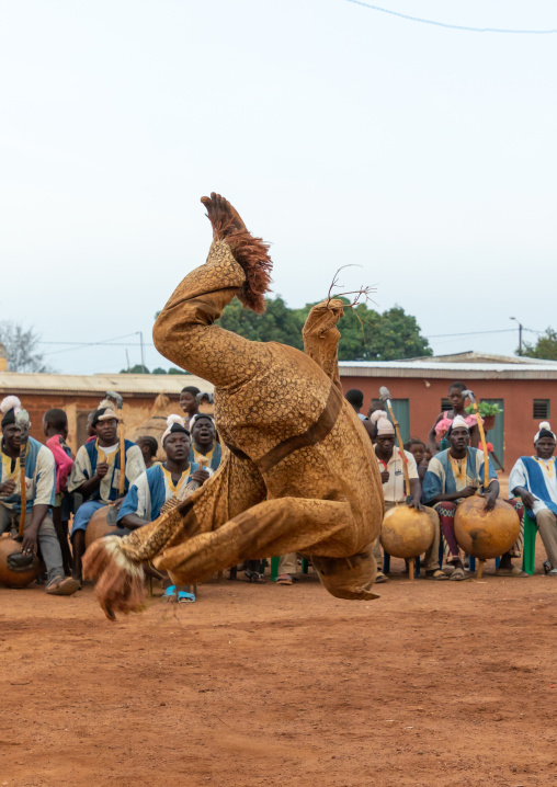 Boloye dance of the panther man in the Senufo community, Savanes district, Waraniene, Ivory Coast