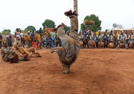 Boloye dance of the panther man in the Senufo community, Savanes district, Waraniene, Ivory Coast