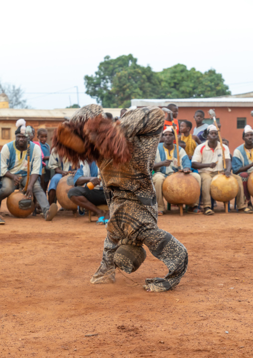 Boloye dance of the panther man in the Senufo community, Savanes district, Waraniene, Ivory Coast