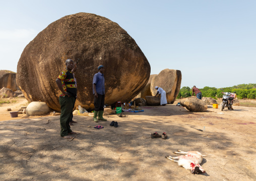 Senufo animist sanctuary where goat sacrifice have been made, Savanes district, Shienlow, Ivory Coast