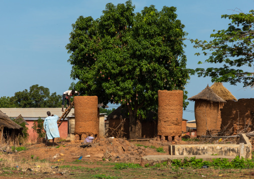 Granaries with thatched roofs in a Senufo village, Savanes district, Niofoin, Ivory Coast