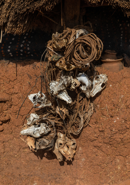 Animals skulls on a Senufo fetish house, Savanes district, Niofoin, Ivory Coast