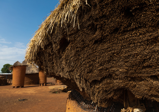 Senufo fetish house whose roof gets a new layer every year, Savanes district, Niofoin, Ivory Coast