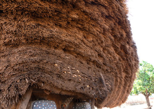 Senufo fetish house whose roof gets a new layer every year, Savanes district, Niofoin, Ivory Coast