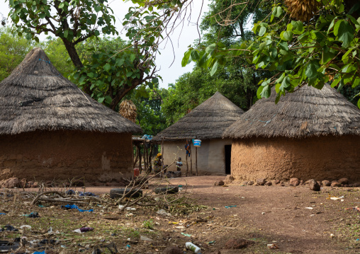 Huts in a Peul tribe village, Savanes district, Boundiali, Ivory Coast