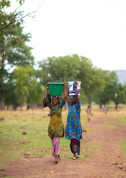 Peul tribe girls carrying buckets full of water on the head, Savanes district, Boundiali, Ivory Coast