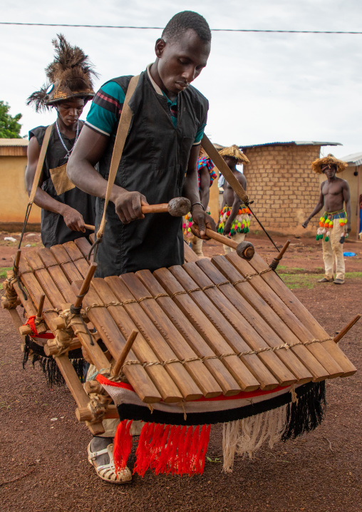 Senufo tribe musicians playing balafons during the Ngoro dance, Savanes district, Ndara, Ivory Coast