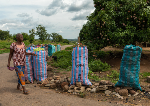 Coal for sale in big bags along the road, Bafing, Yo, Ivory Coast