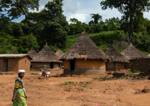 Huts with thatched roofs in a village, Bafing, Gboni, Ivory Coast