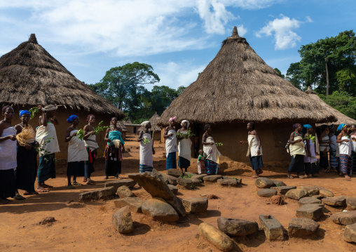 Dan tribe women in line singing and dancing during a ceremony, Bafing, Gboni, Ivory Coast