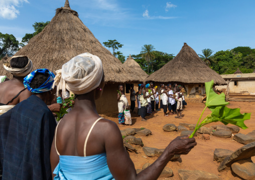 Dan tribe women in line singing and dancing during a ceremony, Bafing, Gboni, Ivory Coast