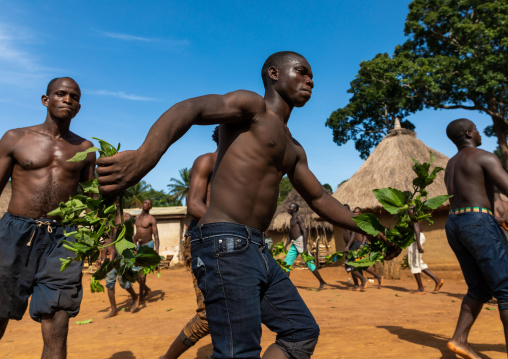 Dan tribe men dancing with leaves during a ceremony, Bafing, Gboni, Ivory Coast