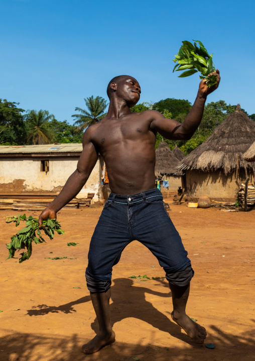 Dan tribe man dancing with leaves during a ceremony, Bafing, Gboni, Ivory Coast