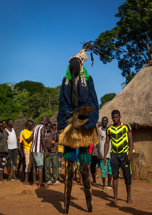 The tall mask dance with stilts called Kwuya Gblen-Gbe in the Dan tribe during a ceremony, Bafing, Gboni, Ivory Coast