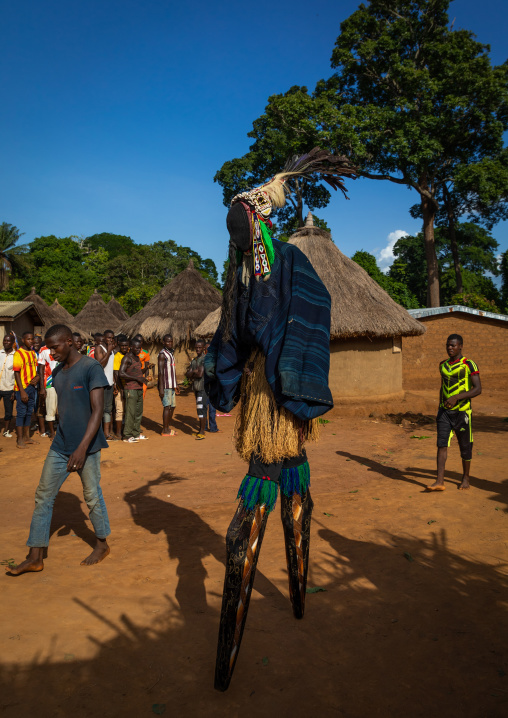 The tall mask dance with stilts called Kwuya Gblen-Gbe in the Dan tribe during a ceremony, Bafing, Gboni, Ivory Coast