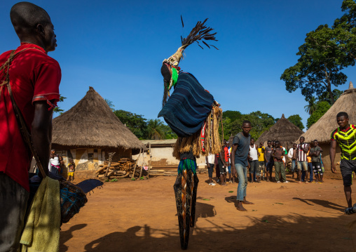 The tall mask dance with stilts called Kwuya Gblen-Gbe in the Dan tribe during a ceremony, Bafing, Gboni, Ivory Coast