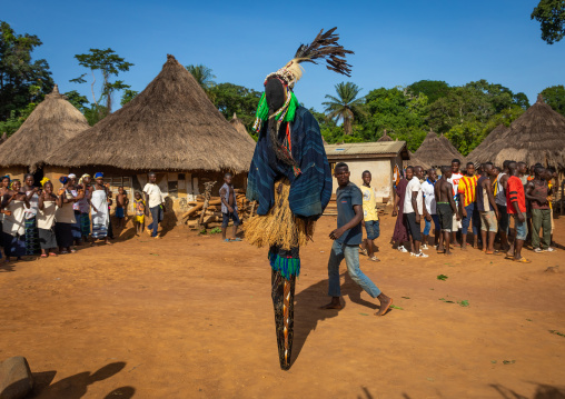 The tall mask dance with stilts called Kwuya Gblen-Gbe in the Dan tribe during a ceremony, Bafing, Gboni, Ivory Coast