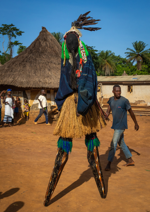 The tall mask dance with stilts called Kwuya Gblen-Gbe in the Dan tribe during a ceremony, Bafing, Gboni, Ivory Coast