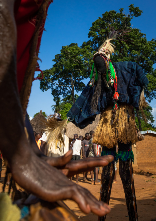 The tall mask dance with stilts called Kwuya Gblen-Gbe in the Dan tribe during a ceremony, Bafing, Gboni, Ivory Coast