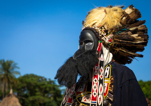 Dan tribe mask sacred dance during a ceremony, Bafing, Gboni, Ivory Coast