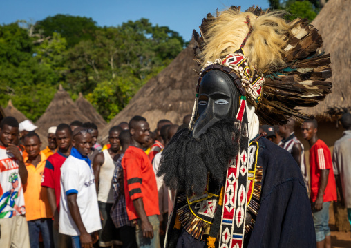 Dan tribe mask sacred dance during a ceremony, Bafing, Gboni, Ivory Coast