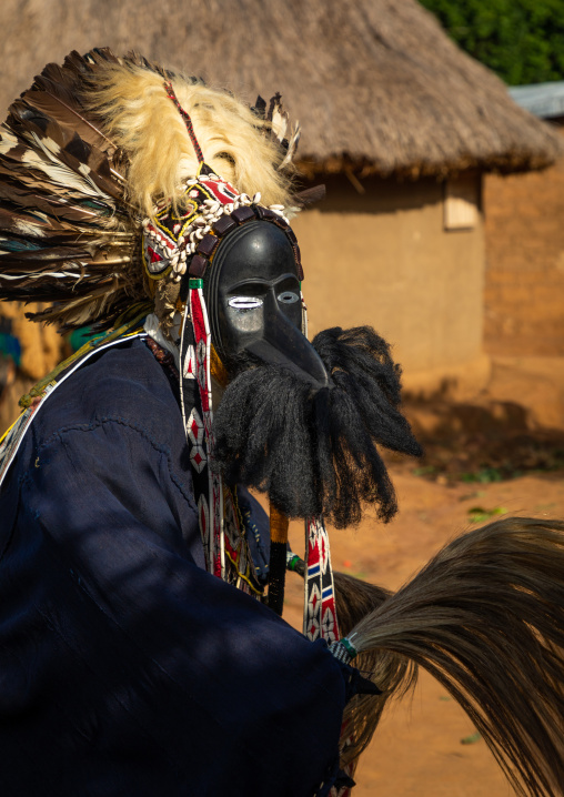 Dan tribe mask sacred dance during a ceremony, Bafing, Gboni, Ivory Coast