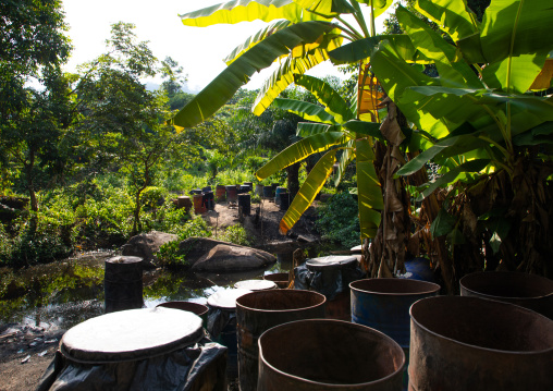 Homemade alcohol made with sugar, Tonkpi Region, Man, Ivory Coast