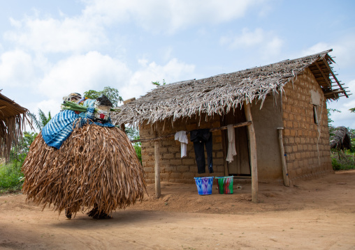 We Guere sacred mask coming out of the sacred forest for a ceremony, Guémon, Bangolo, Ivory Coast