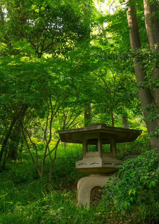 Lantern of kyu asakura traditional japanese house from taisho era, Kanto region, Tokyo, Japan